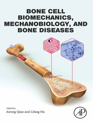 cover image of Bone Cell Biomechanics, Mechanobiology and Bone Diseases